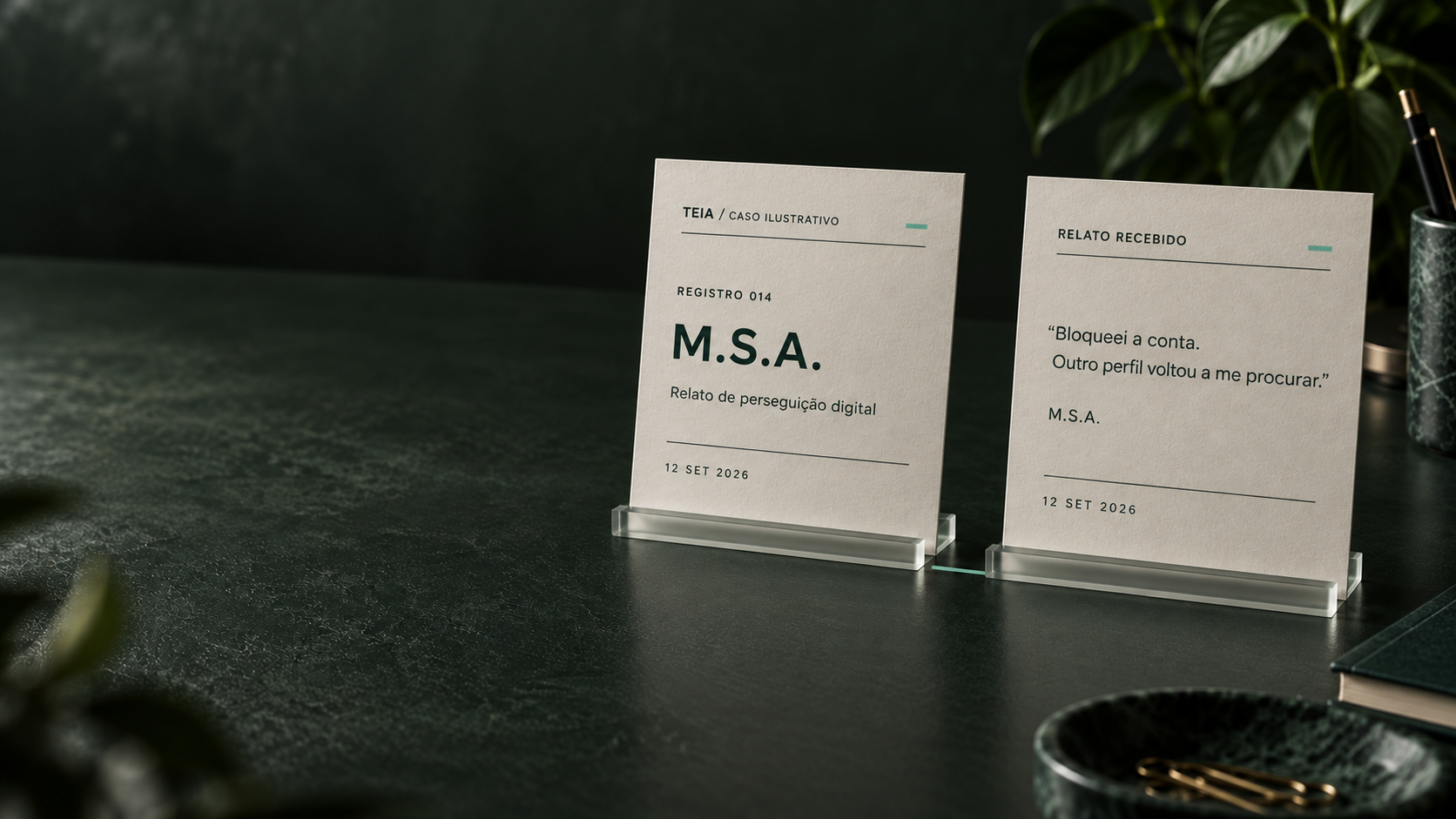 Quadro 2: A ameaça. Caso fictício M.S.A.